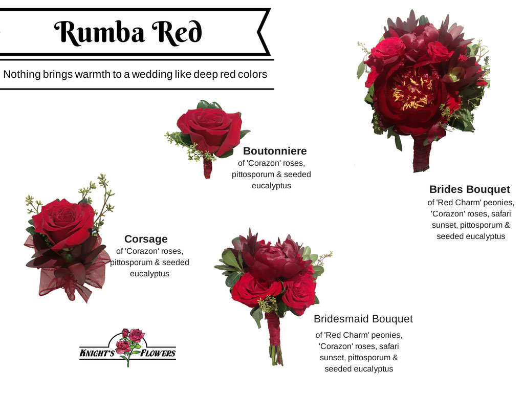 Rumba-Red-JPEG